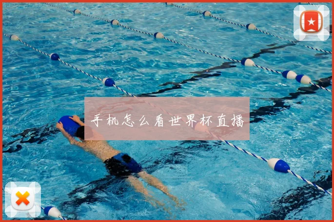 手机怎么看世界杯直播