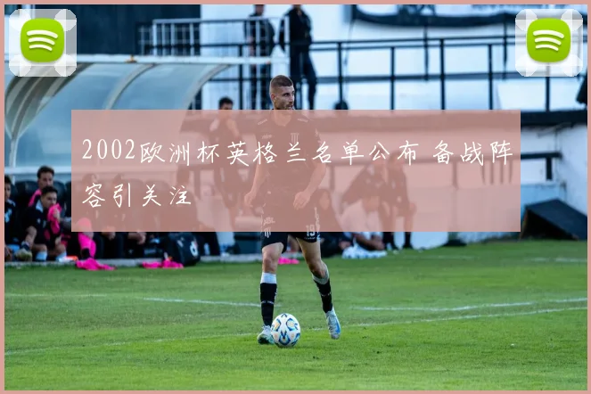 2002欧洲杯英格兰名单公布 备战阵容引关注