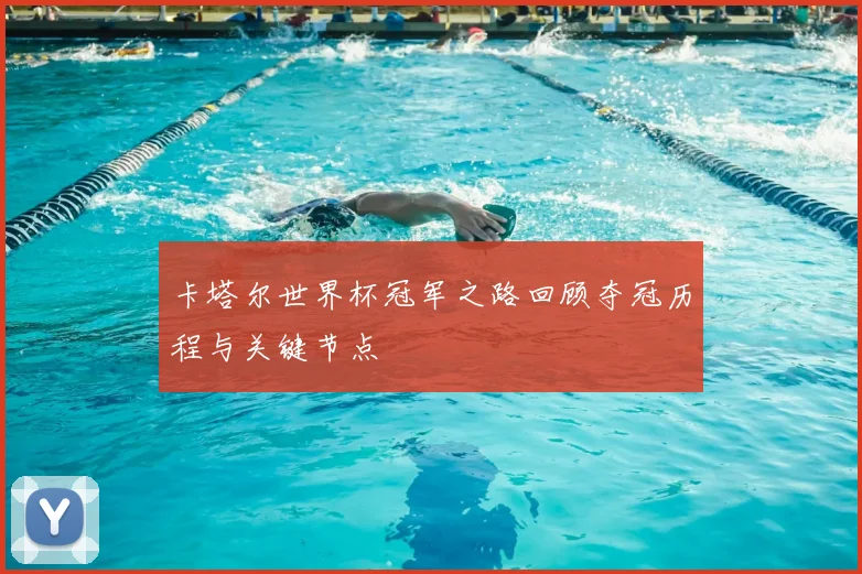 卡塔尔世界杯冠军之路回顾夺冠历程与关键节点