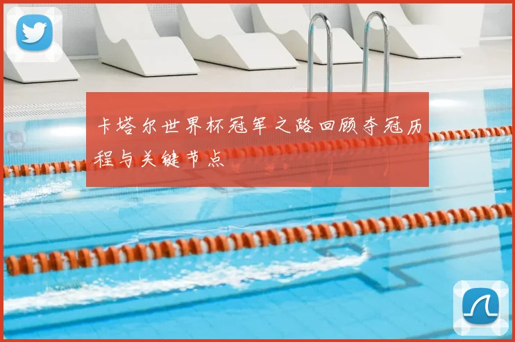 卡塔尔世界杯冠军之路回顾夺冠历程与关键节点