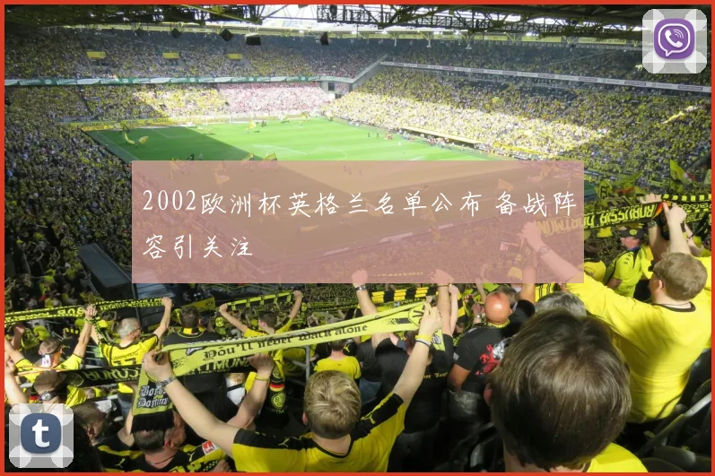2002欧洲杯英格兰名单公布 备战阵容引关注